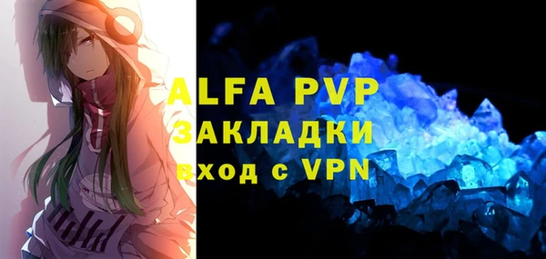 стаф Белокуриха