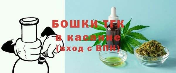 стаф Белокуриха