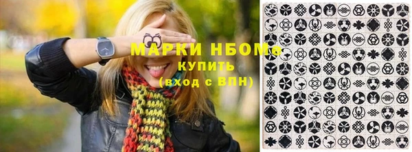 шишки Белоозёрский