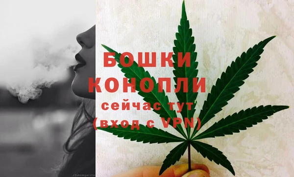 индика Баксан