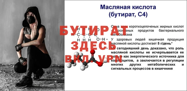 шишки Белоозёрский