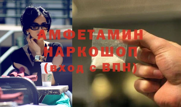 индика Баксан