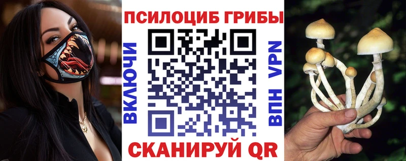 Псилоцибиновые грибы ЛСД  купить наркотик  Котельники 
